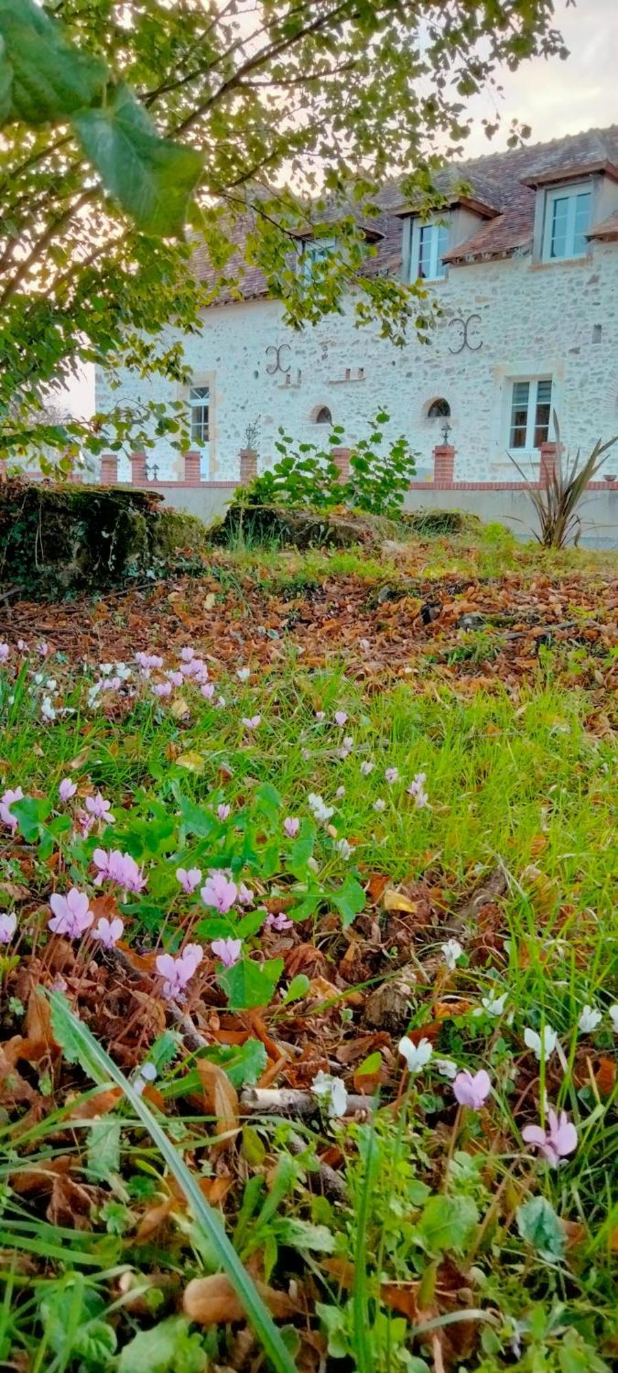 Villa Gite & Chambre D'Hotes Du Moulin Brûlon Exterior foto